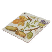 Vintage botanische Keramik Fliese (Seite)