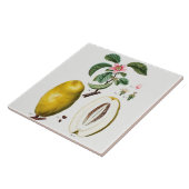 Vintage botanische Keramik Fliese (Seite)