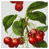 Vintage Botanische Kirschen Stoff (Nahaufnahme)