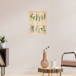 Vintage-Botanische Küchenkräuter Schrift Kunst Poster