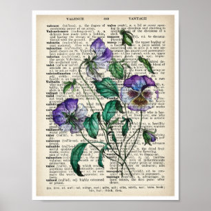 Vintage Botanische Kunst Druck Veilchen Alte Seite Poster