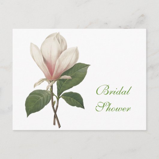 Vintage botanische Kunst - elegante magnolische Bl Einladungspostkarte (Vorderseite)