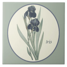 Vintage botanische Kunst Iris Blüten Cameo Fliese
