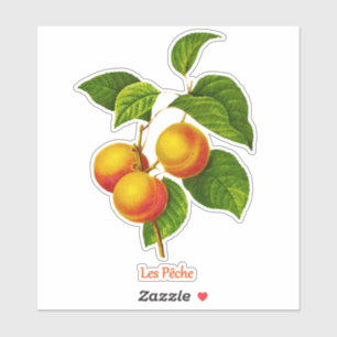 Vintage botanische Kunst - Pfirsiche und Blätter Aufkleber