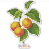Vintage botanische Kunst - Pfirsiche und Blätter Aufkleber (Vorderseite)