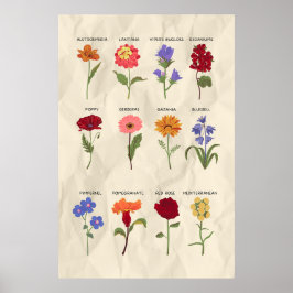 Vintage botanische Kunst Poster