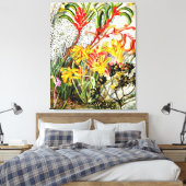 Vintage botanische Kunst, westaustralische Blume Leinwanddruck (Insitu (Schlafzimmer))