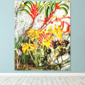 Vintage botanische Kunst, westaustralische Blume Leinwanddruck (Insitu (Holzboden))