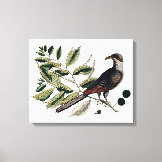 Vintage botanische Leinwand (Vorderseite)