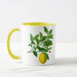 Vintage botanische Lemon-Illustration Tasse