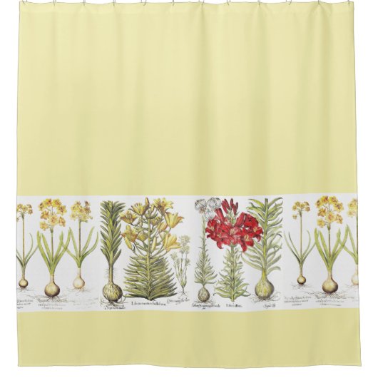 Vintage botanische Lilien-Narzissen-Blumen mit Duschvorhang (Vorderseite)