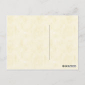 Vintage botanische Loblolly Bay Tree Illustration Postkarte (Rückseite)