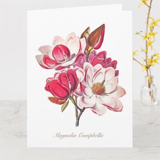 Vintage botanische Magnolia Rosa Blume Karte (Gelbe Blume)