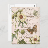 Vintage botanische mit Blumenpostkarte Postkarte (Vorne/Hinten)