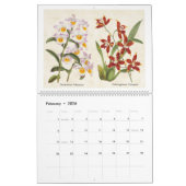 Vintage botanische Orchideen-Illustrationen 2026 Kalender (Feb 2026)