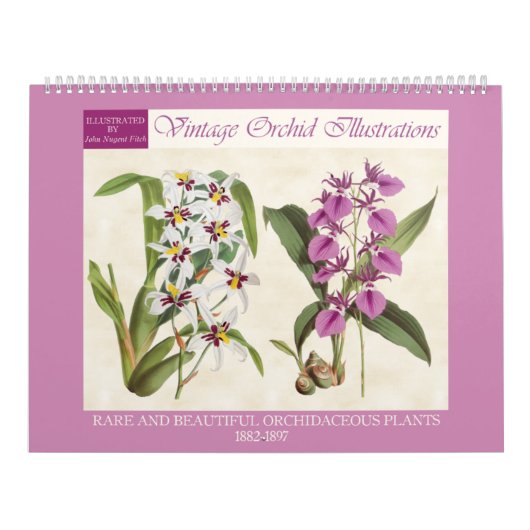 Vintage botanische Orchideen-Illustrationen 2026 Kalender (Titelbild)