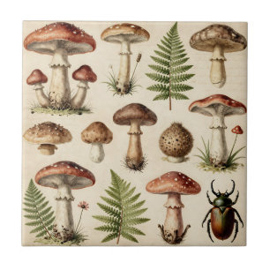 Vintage botanische Pilz-Farn-Collage Fliese