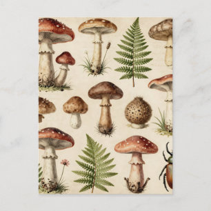 Vintage botanische Pilz-Farn-Collage Postkarte