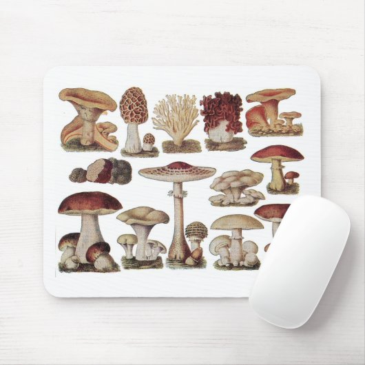 Vintage botanische Pilze Mousepad (Mit Mouse)
