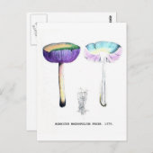 Vintage botanische Pilze Postkarte (Vorne/Hinten)