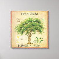Vintage Botanische Plumeria Locarno