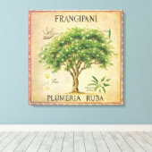 Vintage Botanische Plumeria Locarno Leinwanddruck (Insitu (Holzboden))