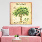 Vintage Botanische Plumeria Locarno Leinwanddruck (Insitu (Wohnzimmer))