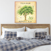 Vintage Botanische Plumeria Locarno Leinwanddruck (Insitu (Schlafzimmer))