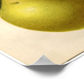 Vintage botanische Printwerbung - Birne Poster (Ecke)