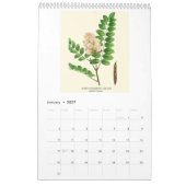 Vintage botanische Redoute Blütenbaum 2026 Kalender (Jan 2027)