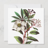 Vintage botanische Rose Blume Bouquet (Vorderseite)