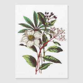 Vintage botanische Rose Blume Bouquet Magnetkarte