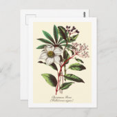 Vintage botanische Rose Blume Bouquet Postkarte (Vorne/Hinten)