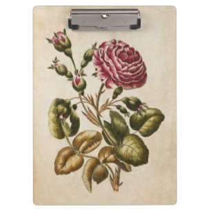 Vintage botanische Rose Klemmbrett