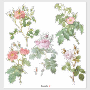 Vintage botanische Rose kundenspezifisch geschnitt Aufkleber