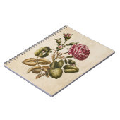 Vintage botanische Rose Notizblock (Linke Seite)