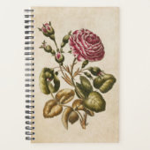 Vintage botanische Rose Planer (Vorderseite)