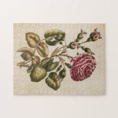 Vintage botanische Rose Puzzle (Horizontal)