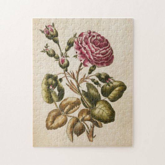 Vintage botanische Rose Puzzle (Vertikal)