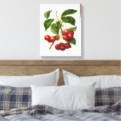 Vintage Botanische Rotkrebse Canvas Leinwanddruck (Insitu (Schlafzimmer))