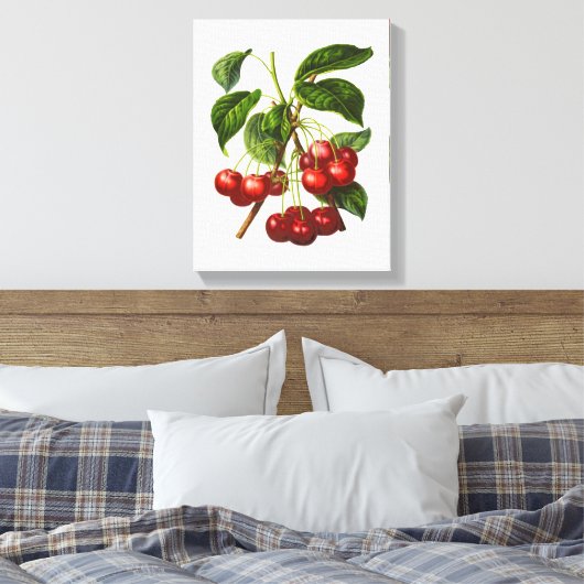 Vintage Botanische Rotkrebse Canvas Leinwanddruck (Insitu (Schlafzimmer))