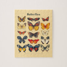 Vintage Botanische Schmetterlinge Identifikations-