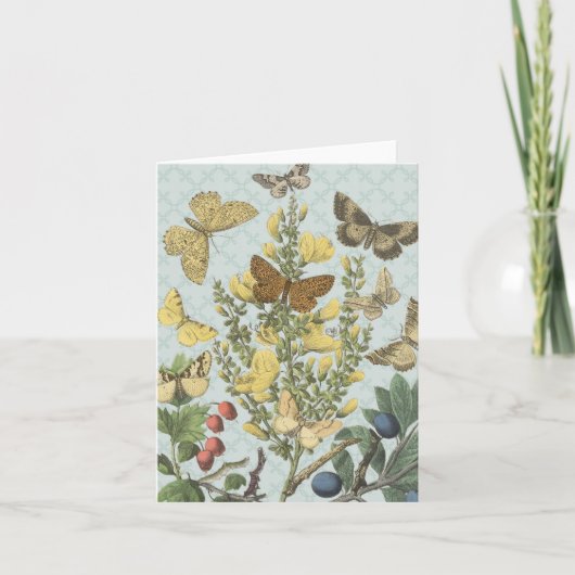 Vintage Botanische Schmetterlinge...notecard Karte (Vorderseite)