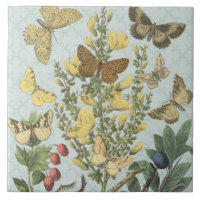 Vintage botanische Schmetterlings… Fliese