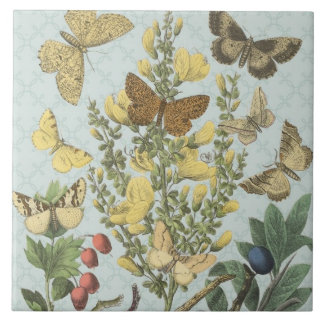 Vintage botanische Schmetterlings… Fliese