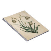 Vintage botanische Schneefall-Illustration Notizblock (Rechte Seite)