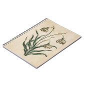 Vintage botanische Schneefall-Illustration Notizblock (Linke Seite)