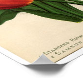 Vintage botanische Schrift - Tulpen Poster (Ecke)
