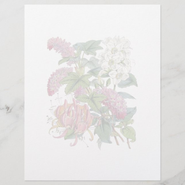 Vintage botanische Seite (Vorderseite)