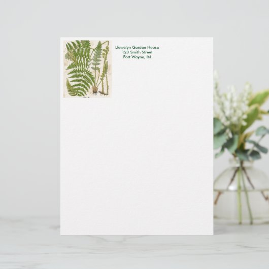 Vintage botanische Seite - Fern (Stehend Vorderseite)